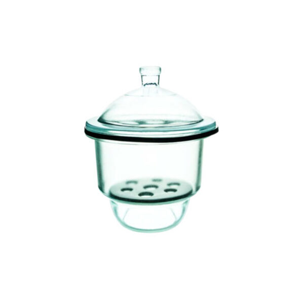 Desecador-de-Vidrio-250-MM-BIOHALL.jpg